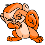 Orange Mynci