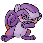 Purple Mynci