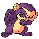 Purple Mynci