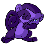 Purple Mynci