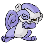 Purple Mynci