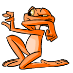Orange Nimmo
