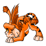 Orange Ogrin