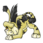 Yellow Ogrin