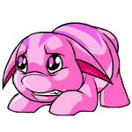 Pink Poogle