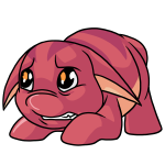 Pink Poogle