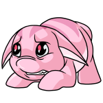 Pink Poogle