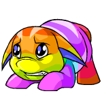 Rainbow Poogle