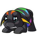 Rainbow Poogle