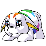 Rainbow Poogle