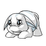 White Poogle