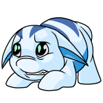 White Poogle