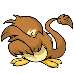 Brown Pteri