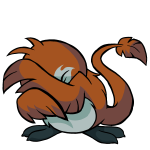 Brown Pteri