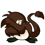 Brown Pteri