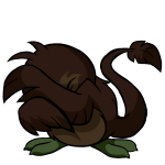 Brown Pteri