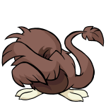 Brown Pteri