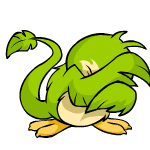 Green Pteri