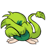 Green Pteri