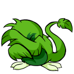 Green Pteri