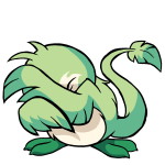 Green Pteri