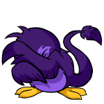Purple Pteri