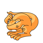 Orange Techo