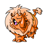 Orange Tonu
