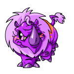 Purple Tonu