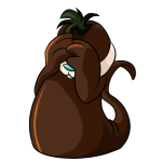 Brown Tuskaninny