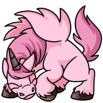 Pink Uni