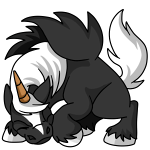 Skunk Uni