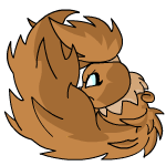 Brown Usul