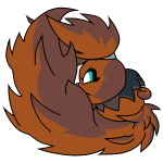 Brown Usul
