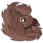 Brown Usul