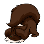 Brown Wocky
