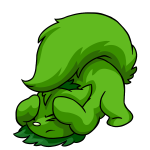 Green Wocky