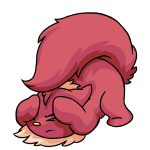 Pink Wocky