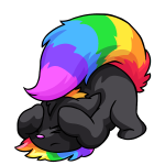 Rainbow Wocky