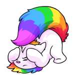 Rainbow Wocky