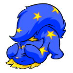 Starry Wocky