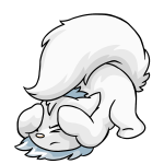 White Wocky