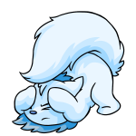 White Wocky