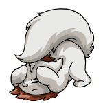 White Wocky