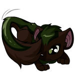 Brown Xweetok