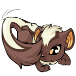 Brown Xweetok