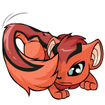 Orange Xweetok