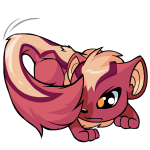 Pink Xweetok