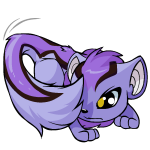 Purple Xweetok