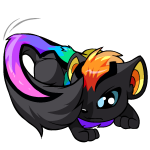Rainbow Xweetok